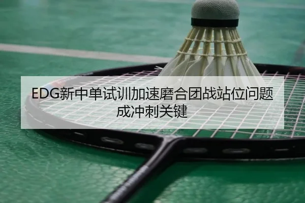 EDG新中单试训加速磨合团战站位问题成冲刺关键(aiyouxi)